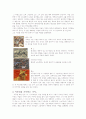 화가들 조사 8페이지