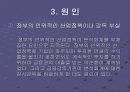 분식회계(분식뢰계의 정의와 이해) 9페이지