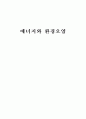 에너지와 환경오염 1페이지