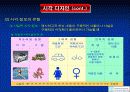 비투사 자료와 투사매체의 활용과 개발 25페이지