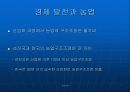 쌀시장 개방의 현황과 문제점 7페이지