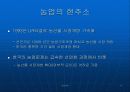 쌀시장 개방의 현황과 문제점 10페이지