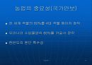 쌀시장 개방의 현황과 문제점 14페이지