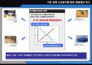 ecosystem, economy system & sustainable development 5페이지