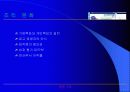 경영정보 시스템 활용 사례 분석 - BTC 정보통신 5페이지