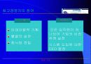 경영정보 시스템 활용 사례 분석 - BTC 정보통신 14페이지