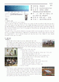 청소년 사이트 검색 1페이지