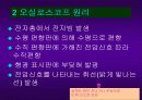 오실로스코프 발표자료 3페이지