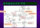 오실로스코프 발표자료 4페이지