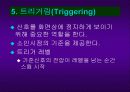 오실로스코프 발표자료 7페이지