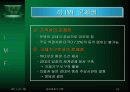 IMF(국제통화기구) 24페이지