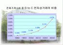 일본 전자상거래시장 동향 및 전망 5페이지