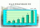 일본 전자상거래시장 동향 및 전망 11페이지