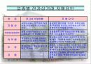 일본 전자상거래시장 동향 및 전망 13페이지