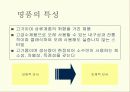 왜 사람들이 명품 브랜드에 열광하는가 5페이지