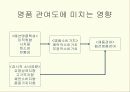 왜 사람들이 명품 브랜드에 열광하는가 16페이지