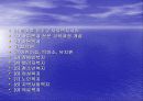 가톨릭의 역사 11페이지