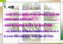 한국 천주교의 사회복지발달사 4페이지