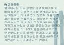 불교사회복지 사상과 역사 7페이지