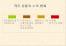 적조에 관한 조사자료 4페이지