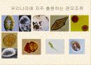 적조에 관한 조사자료 9페이지