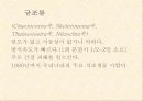 적조에 관한 조사자료 10페이지