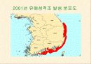 적조에 관한 조사자료 24페이지