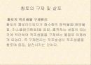 적조에 관한 조사자료 36페이지