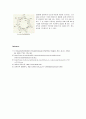 Cyclodextrin을 이용한 형광의 증가 4페이지