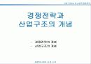 경쟁전략수립-산업구조분석을 중심으로 3페이지