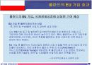 국제경영전략론-폴란드 국가 분석과 기업 진출 전략 완전 분석 10페이지
