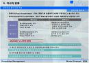 지식 경영에 대한 종류와 분석, 필요성, 프로세스 완전 분석 11페이지