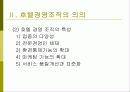 호텔 경영조직의 주요형태와 의의 4페이지
