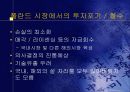 대우 자동차의 폴란드 진출 과정과 실패 사례에 대한 전략적 분석 28페이지