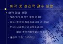 대우 자동차의 폴란드 진출 과정과 실패 사례에 대한 전략적 분석 32페이지