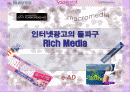 인터넷광고의 돌파구 -Rich Media 완전 분석 1페이지