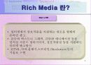 인터넷광고의 돌파구 -Rich Media 완전 분석 3페이지