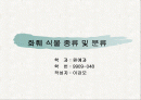 화훼식물의 학명 및 분류 1페이지
