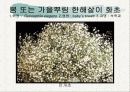 화훼식물의 학명 및 분류 23페이지