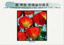 화훼식물의 학명 및 분류 49페이지