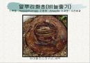 화훼식물의 학명 및 분류 80페이지