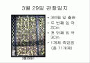 육묘관찰일지 10페이지