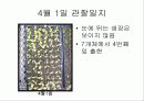 육묘관찰일지 14페이지