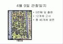 육묘관찰일지 16페이지