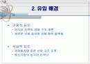 이주 노동자 문제와 해결방안 5페이지