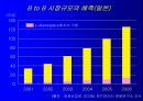 전자상거래의 현상과 과제 56페이지
