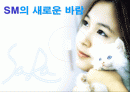 SM의 성공전략 1페이지