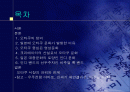 일본의 오타쿠 문화 2페이지