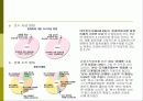 다단계 업체(Network marketing)의 전자상거래 구축 33페이지