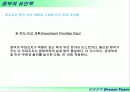 필리핀 진출전략-> 진출기업을 중심으로 12페이지